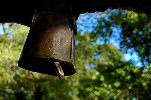 cowbell photo