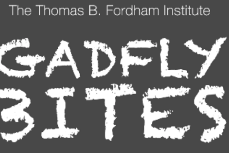 Gadfly Bites banner